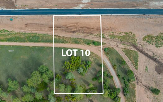 Lot 10